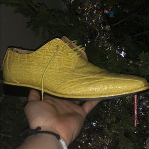 Authentic reptile dress shoes